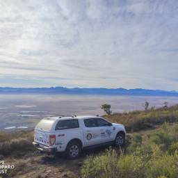Deploying the survey with Ford Wildlife